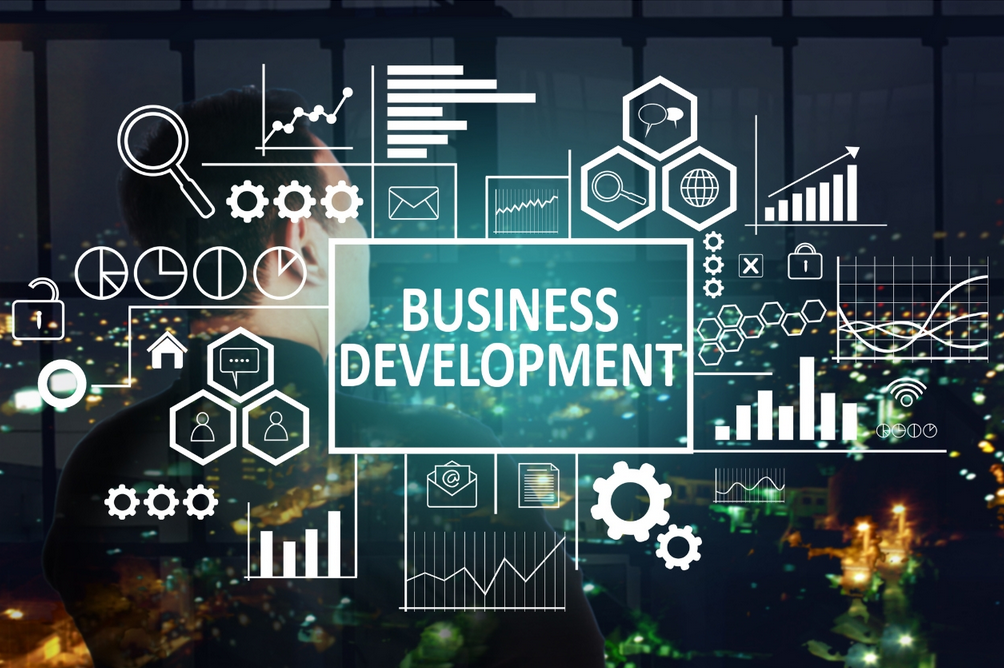 Innovative Approaches to Business Development: Case Studies and Success Stories