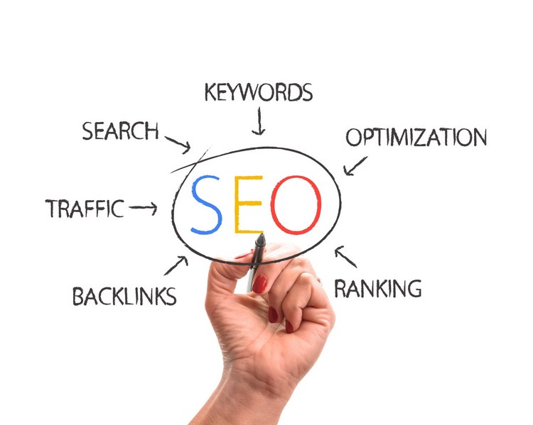 The Basics of SEO: What Every Newbie Should Know